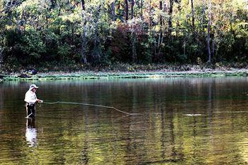 The White River Inn Bull Shoals Esterno foto
